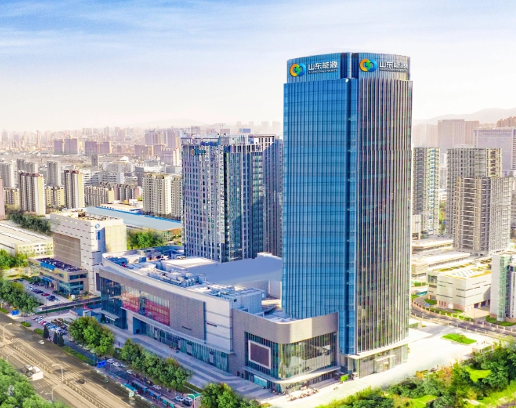 山东能源集团 &mdash;&mdash; 数据治理+数据服务